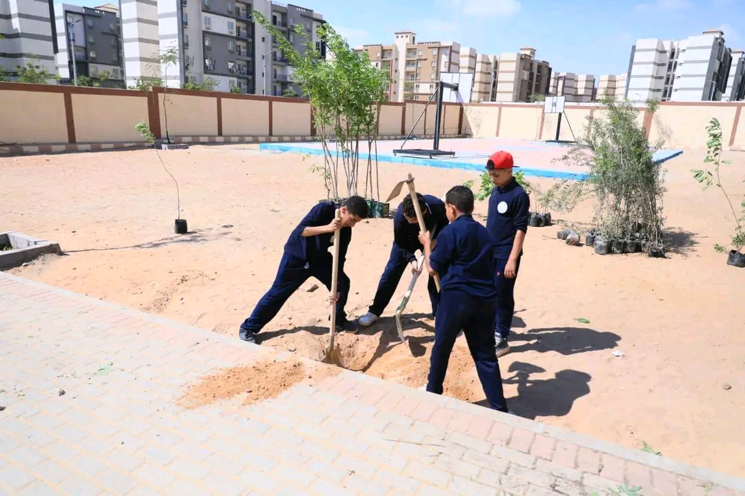 «التنمية المحلية والبيئة» تدعمان مدرسة الكرنك بـ150 شجرة لضمان استدامة التشجير