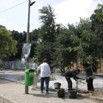 «التنمية المحلية والبيئة» تزرع 220 شجرة بسرايات المعادي لتعزيز المساحات الخضراء 