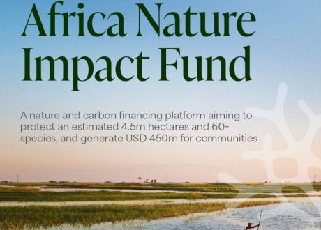 Africa’s first-of-its-kind nature fund targets $ 100mln