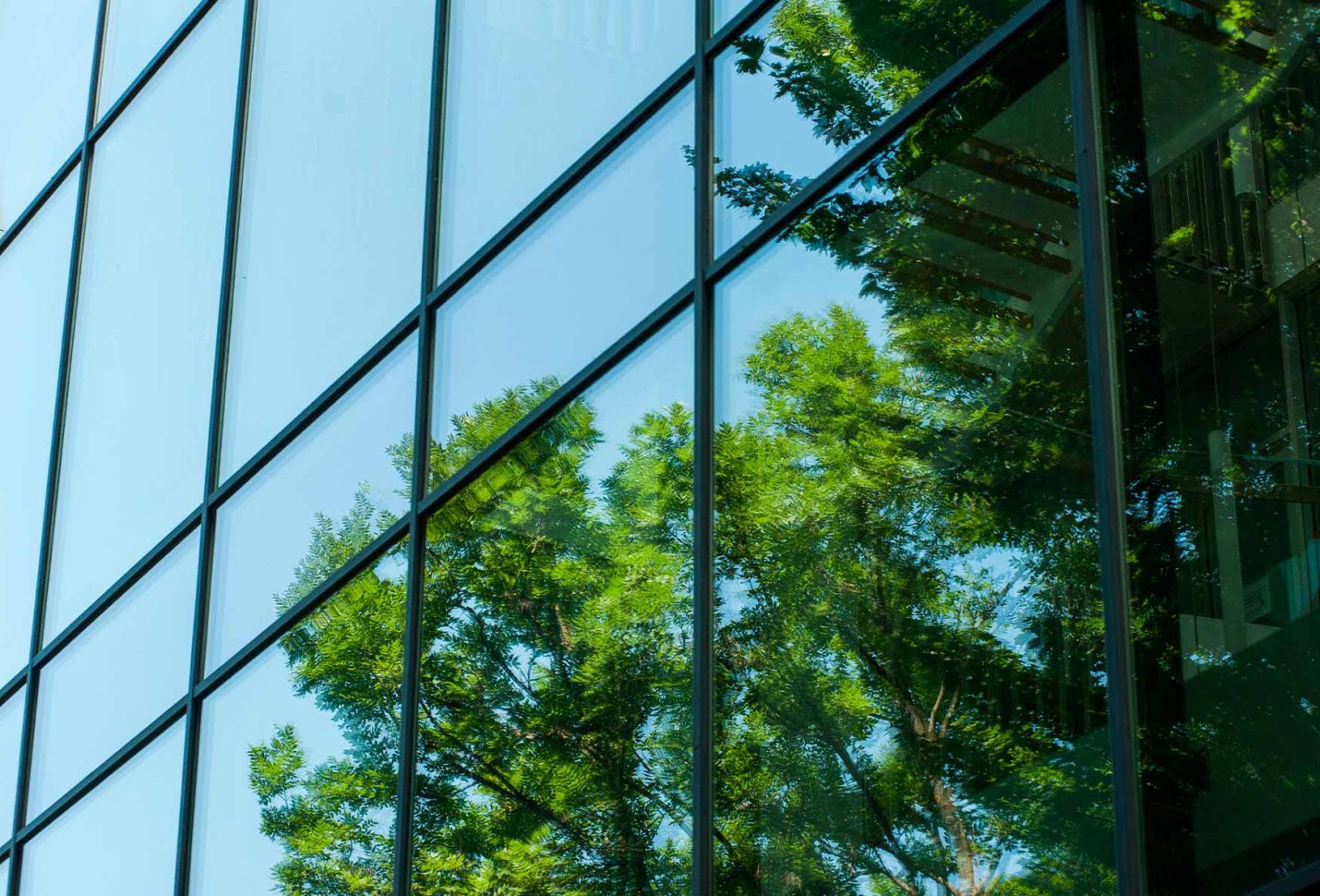 Garanti BBVA taps $ 125mln bond for green, social projects