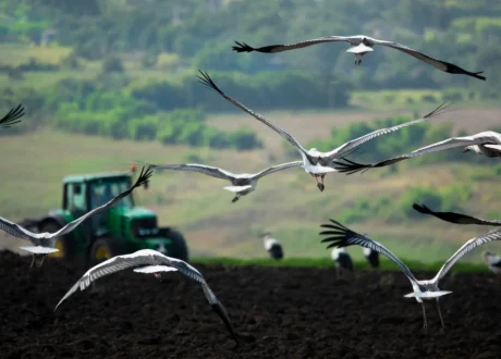 Businesses, financial institutions urge reform of $2.6trln in incentives damaging nature