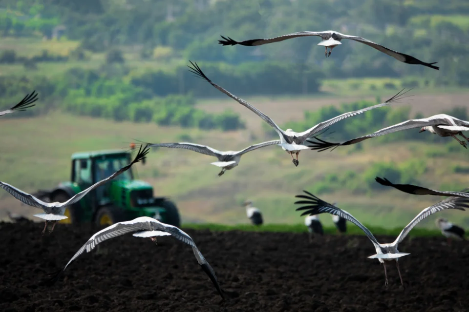 Businesses, financial institutions urge reform of $2.6trln in incentives damaging nature