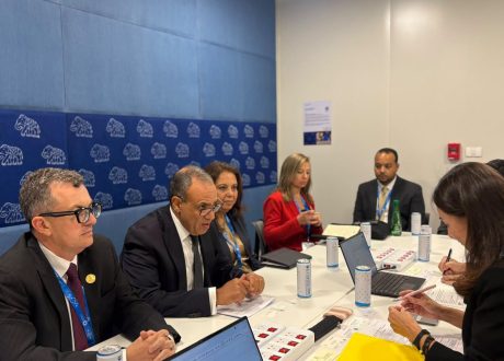 وزيرا التخطيط والخارجية يبحثان مع «جايكا» تعزيز التعاون الاقتصادي وجذب الاستثمارات اليابانية إلى مصر